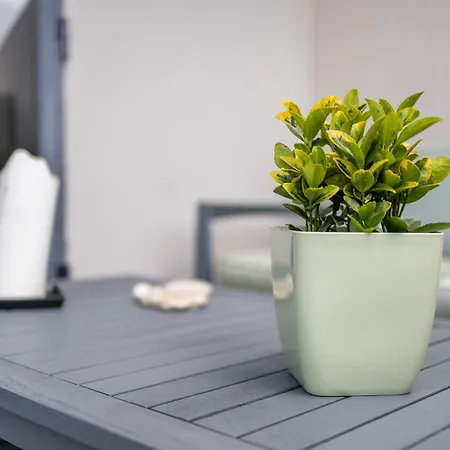 Penthouse Near Paceville With Private Terrace By Quicktrips *